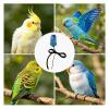 Small Cockatiel Parrot Harness with Training Leash view 4