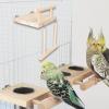 Wooden Parrot Perch Stand view 4