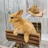 Wooden Hamster Hammock, Hanging Swing and Resting Place for Small Pets view 3