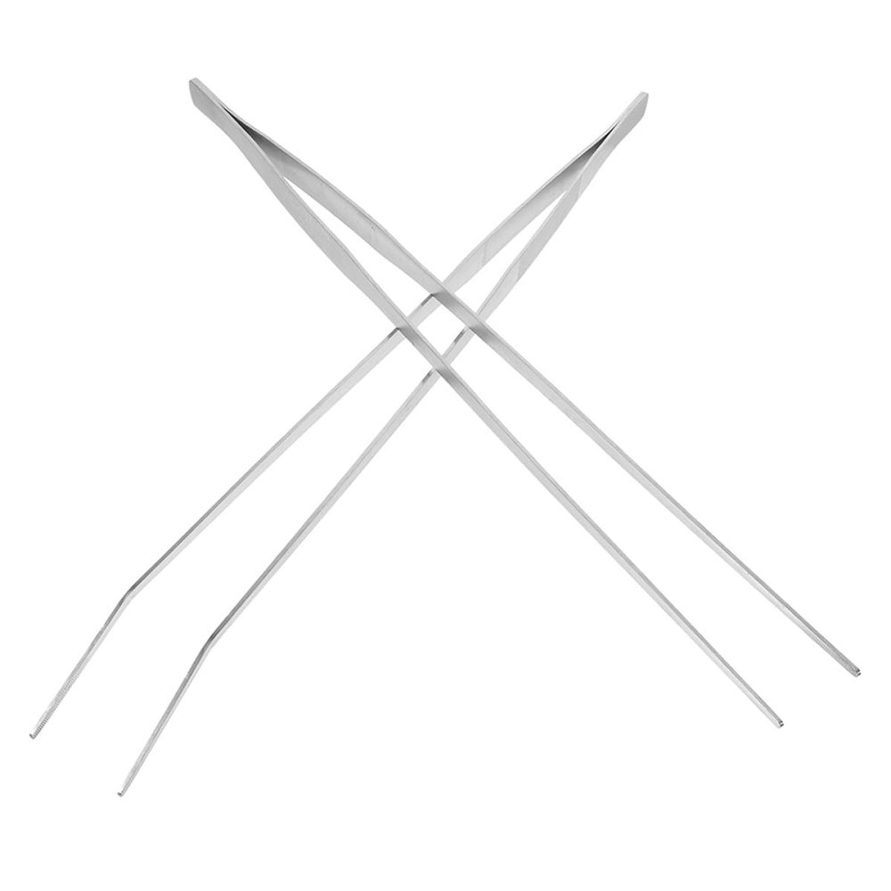 ifundom Stainless Steel Feeding Tongs for Reptiles - 2 Pieces