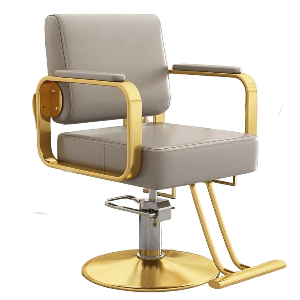 BoluDukNN Modern Hydraulic Barber Chair, 360° Swivel, Height-Adjustable