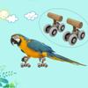 Exciting Parrot Roller Skates and Puzzle Wooden Toys view 3
