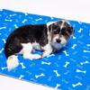 PLAFOPE Reusable Water-Absorbent, Non-Slip Blue Fabric Dog Training Mat with Bone Pattern view 4