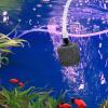 Abaodam 12-Pack Aquarium Air Stones view 4