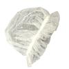 Muzzle for Small Dogs, Anti-Barking view 1
