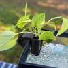 YPBEW Aquarium Hydroponics Rack for Multiple Aquariums view 4
