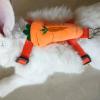 Rengue Harness and Leash for Pets view 3