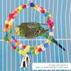 Rengue Wooden Bird Swing Toy with Bells for Small to Medium Parrots view 3