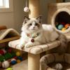 Adjustable Collar for Cats and Dogs view 2