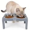 OVAQUIXI Height-Adjustable Elevated Dog Bowl with 2 Stainless Steel Bowls view 4