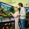 Acrylic Aquarium Lid with Ventilation Holes view 4