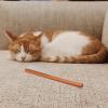 Artibetter Pet Hair Comb for Cats and Small Pets view 4