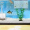 GALPADA Transparent Breeding Box for Aquariums view 4