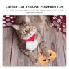 Alipis Halloween Cat Toy Pumpkin Plush with Catnip view 3