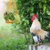 Kichvoe Parrot Feeding Net Bag - Yellow view 3