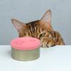Abaodam 2-Pack Silicone Lids for Cat Food Cans view 4