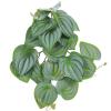 DECHOUS Artificial Plant Ornament for Reptile Terrariums view 1