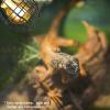 Reptile Heat Lamp Cover view 3