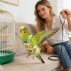 Parrot Harness - Comfortable and Breathable Training Suit Set for 60g view 3
