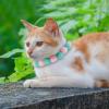 GLEAVI Cute Adjustable Plush Dog Collar with Cartoon Design view 4