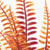 Artibetter Artificial Aquarium Decoration view 3