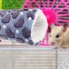 Toyvian Warm Plush Hamster Cuddle Tunnel and Hammock, Purple view 4