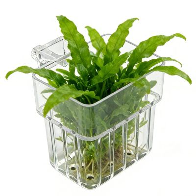 Aquarium Plant Holder 8 x 8 x 5.7 cm