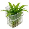 Aquarium Plant Holder 8 x 8 x 5.7 cm view 1