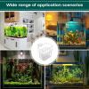 Aquarium Plant Holder 8 x 8 x 5.7 cm view 4