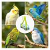 Small Bird Carrier Bag view 4