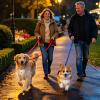 Dog Collar Light - USB Rechargeable LED Clip view 2