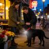 Dog Collar Light - USB Rechargeable LED Clip view 3