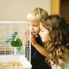 Bird Feeder Station for Parrots - 4 Pack view 3