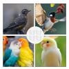 Bird Feeder Station for Parrots - 4 Pack view 4