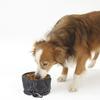 HOMOCONO Foldable Nylon Dog Bowl, Portable Travel Food and Water Bowl, Easy to Clean, Random Color view 4