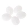 5-Pack White Artificial Eggs view 1