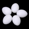 5-Pack White Artificial Eggs view 2