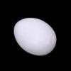 5-Pack White Artificial Eggs view 4