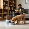 Automatic 2-Liter Interactive Step-Activated Cat Feeder view 3