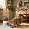 Automatic 2-Liter Interactive Step-Activated Cat Feeder view 4