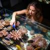 Aquarium Cleaning Tools for Fish Tanks view 2
