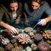 Aquarium Cleaning Tools for Fish Tanks view 3