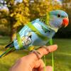 Wild Bird Carrier for Parrots and Cockatiels, Leakproof view 2