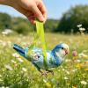Wild Bird Carrier for Parrots and Cockatiels, Leakproof view 3