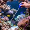 Extra-Long Aquarium Cleaning Tool and Fish-Feeding Dispenser Tube view 2