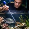 Extra-Long Aquarium Cleaning Tool and Fish-Feeding Dispenser Tube view 3