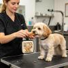 Generic Portable Dog Training Treat Pouch view 2