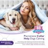 Calming Pheromone Collars for Dogs, 3 Pack view 4