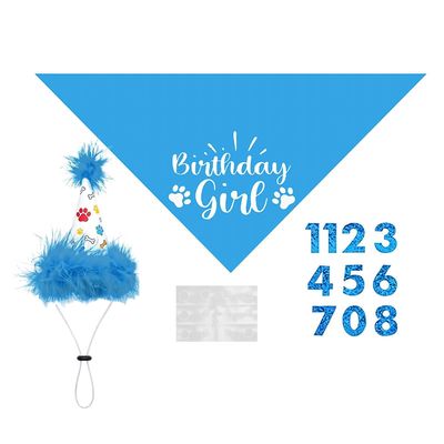 Dog Party Hat, Cute Reusable Party Hat with Numbers | Bandana for Dogs