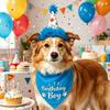 Dog Party Hat, Cute Reusable Party Hat with Numbers | Bandana for Dogs view 3